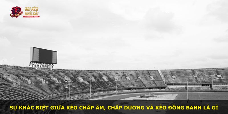 Sự khác biệt giữa kèo chấp âm, chấp dương và kèo đồng banh là gì